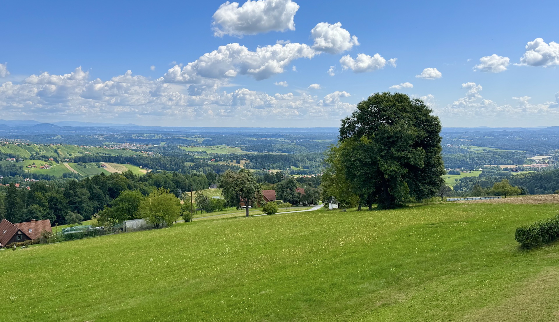 bz-immobilien
